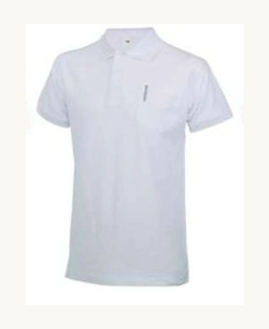 Polo Galaxy Main Image